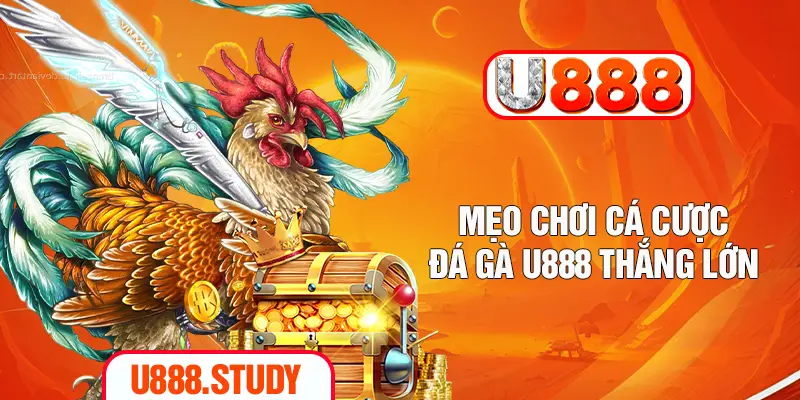 Mẹo chơi cá cược đá gà U888 thắng lớn