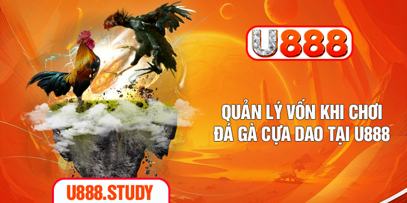 Quản lý vốn khi chơi đá gà cựa dao tại U888
